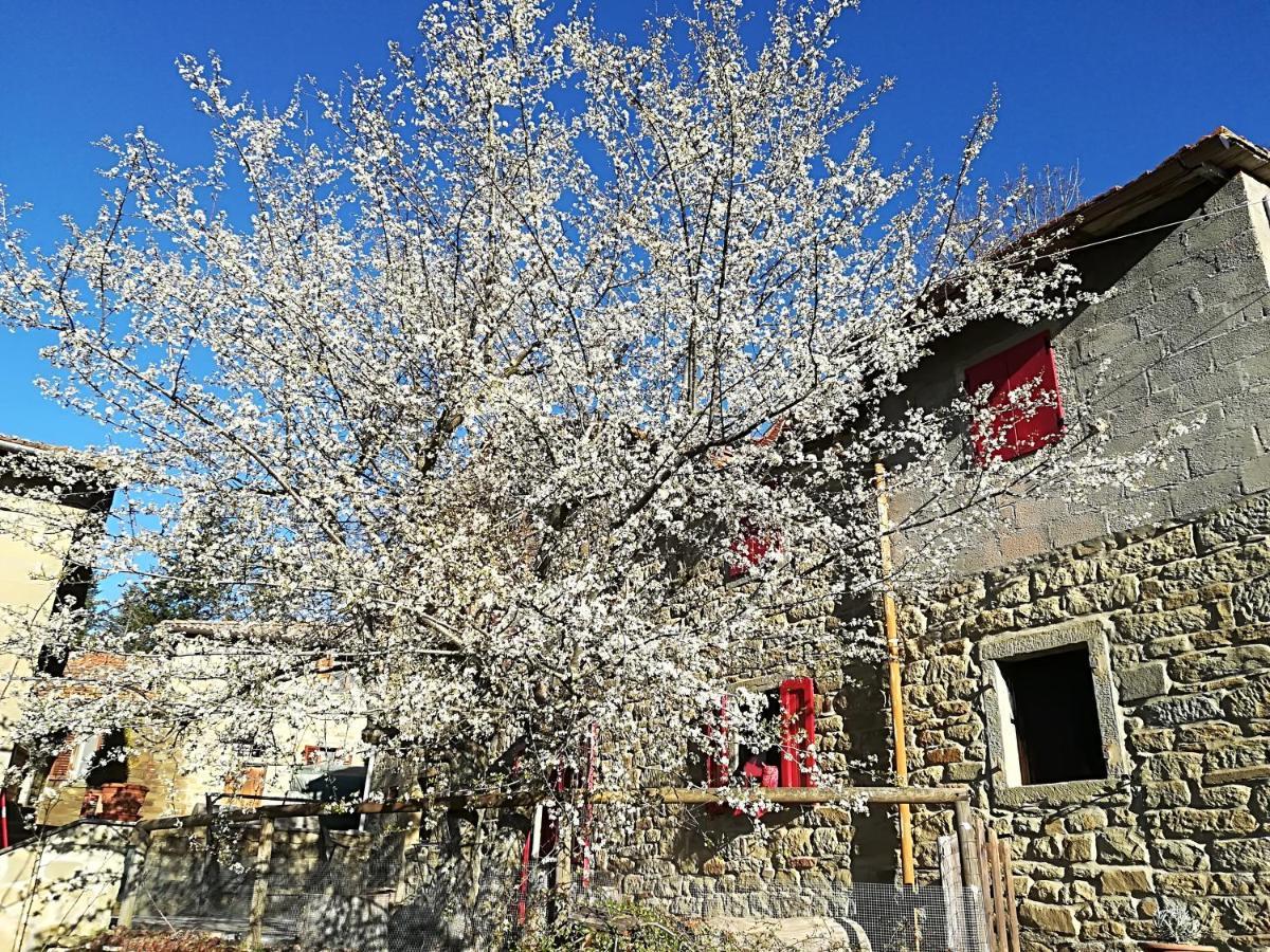 L'Ospitale Di San Jacopo B&B Pratovecchio Exterior photo