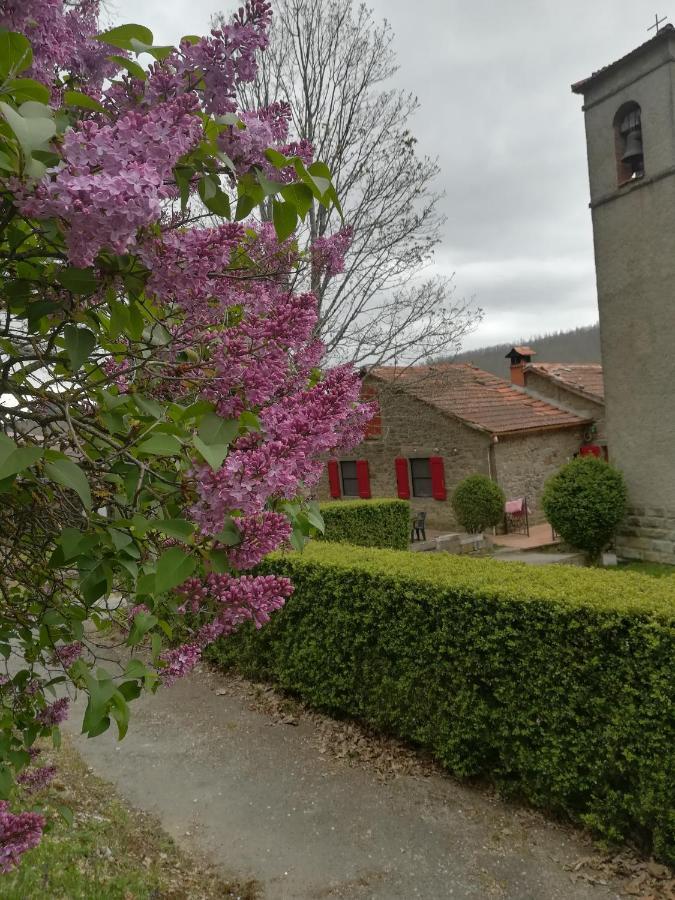 L'Ospitale Di San Jacopo B&B Pratovecchio Exterior photo