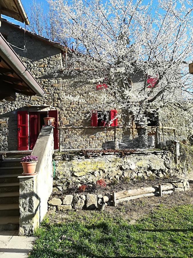 L'Ospitale Di San Jacopo B&B Pratovecchio Exterior photo